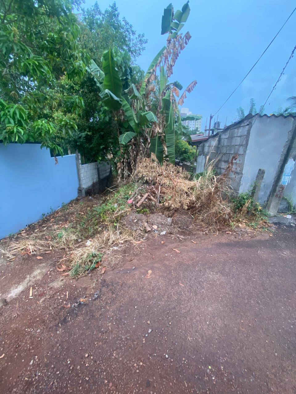 Agricultural Land for Sale in Kottawa