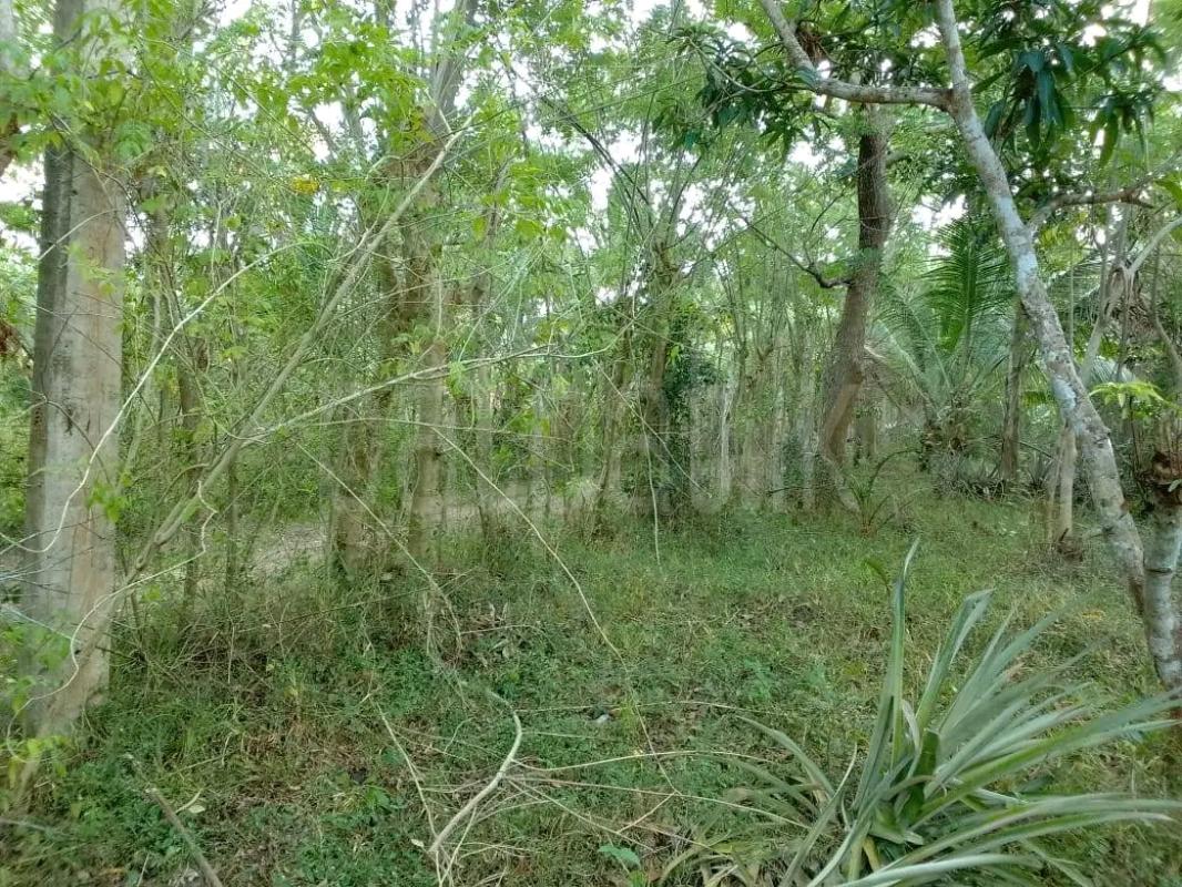 Residential Land for Sale in Wattala