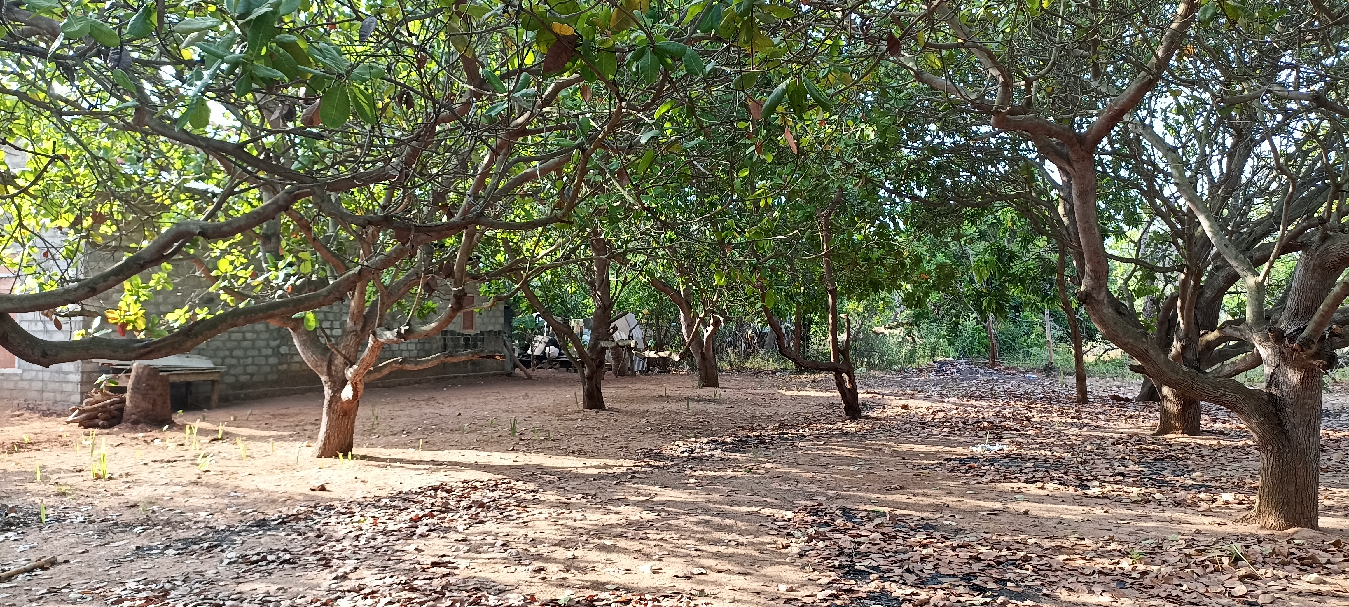 Residential Land for Sale in Puttalam