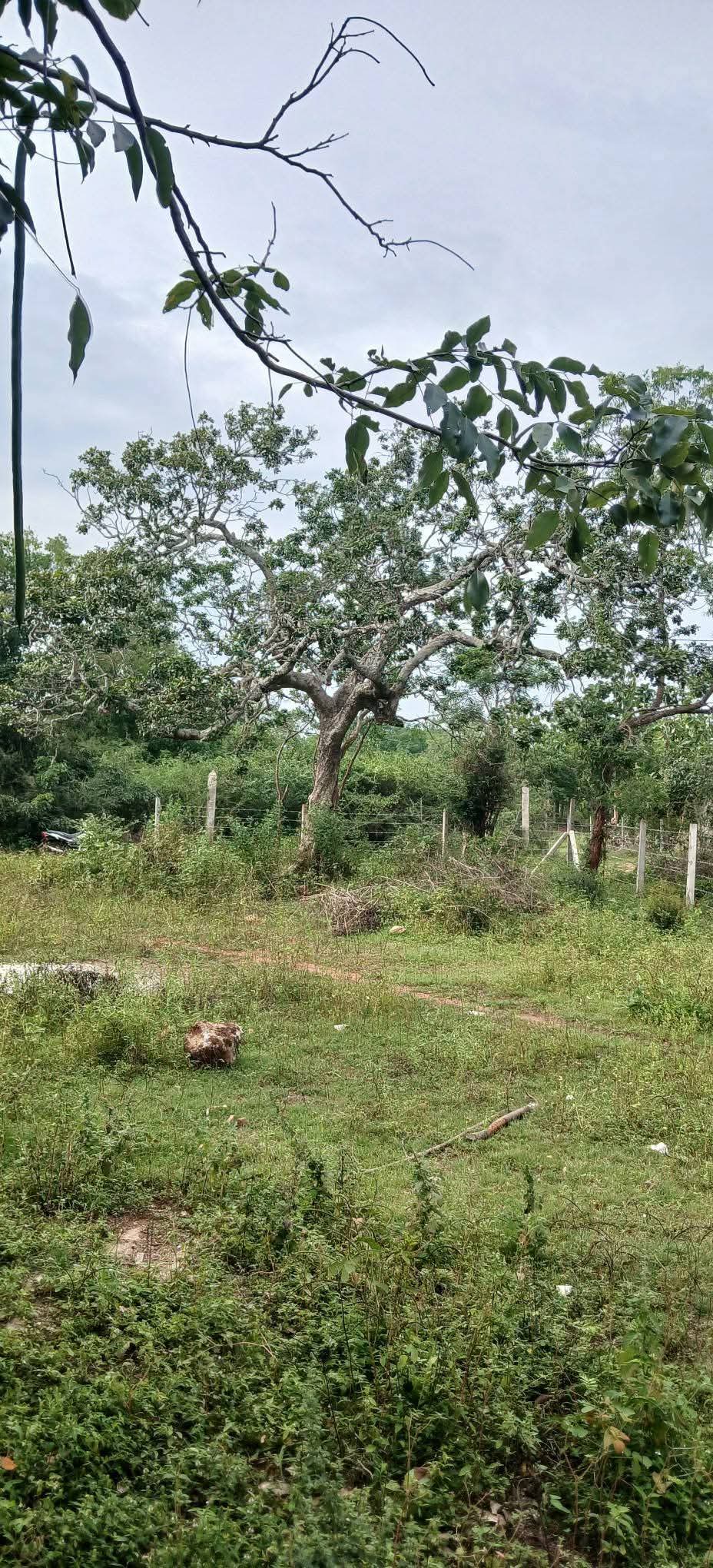 Residential Land for Sale in Kataragama