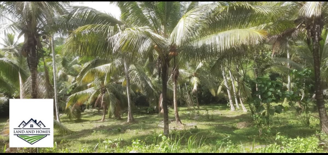 Agricultural Land for Sale in Kundasale