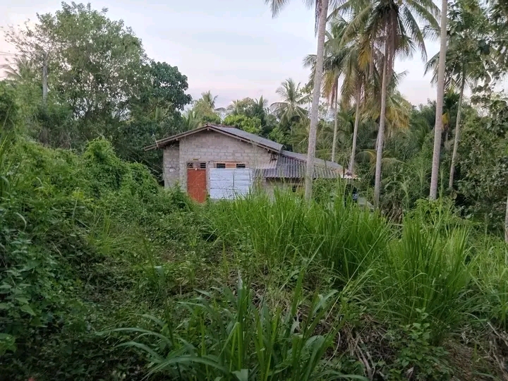 House for Sale in Beliatta