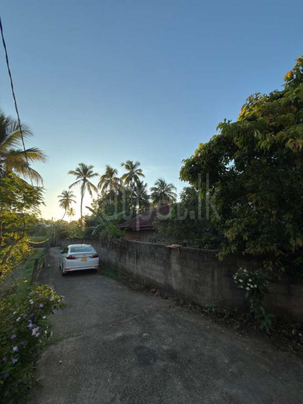 premium-listing-image