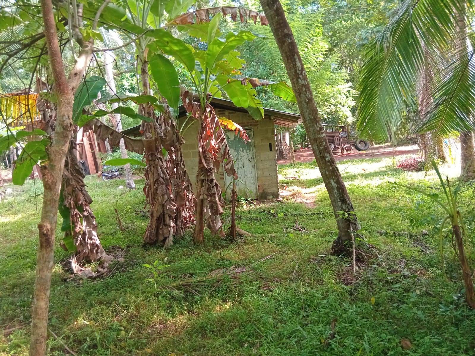 House for Sale in Divulapitiya