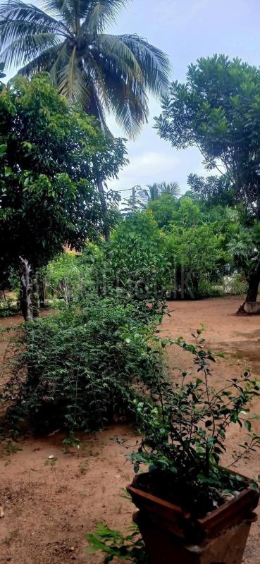 Residential Land for Sale in Kataragama