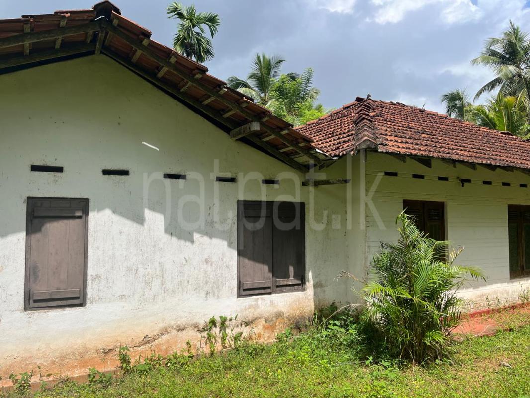 House for Sale in Delgoda ads-image-1