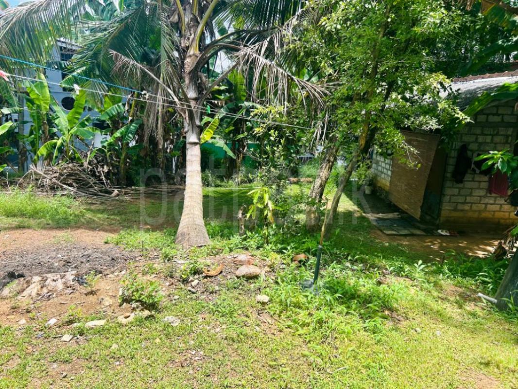 Residential Land for Sale in Nugegoda ads-image-1
