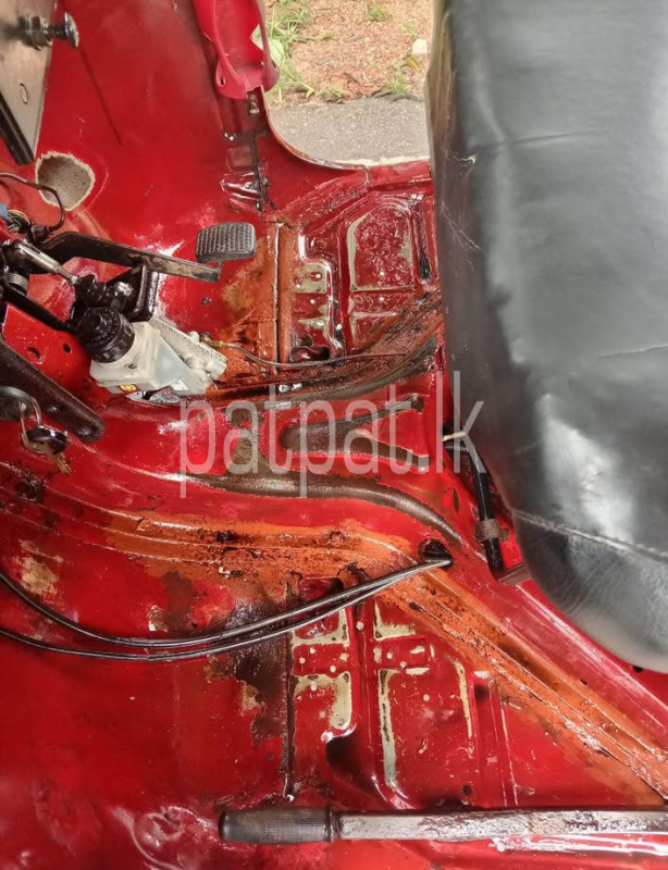 Advertisement image 3