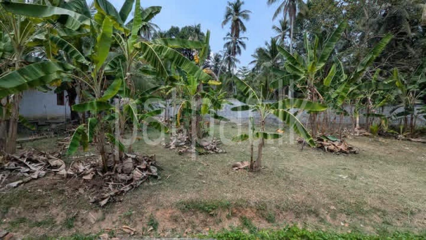 Residential Land for Sale in Yakkala