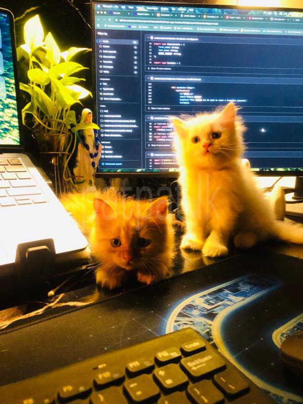 Advertisement image 1