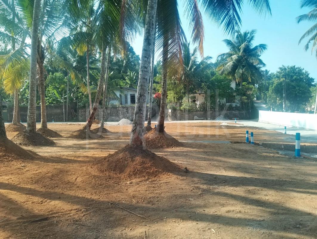 Residential Land for Sale in Homagama