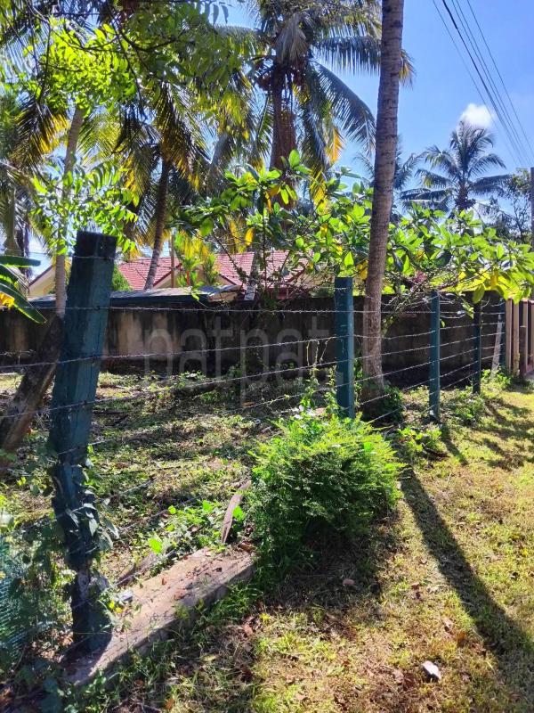 Residential Land for Sale in Kochchikade