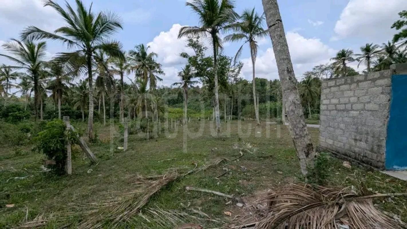 Commercial Land for Sale in Kalagedihena