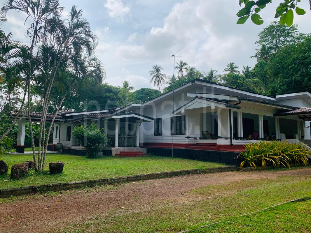 Agricultural Land for Sale in Divulapitiya