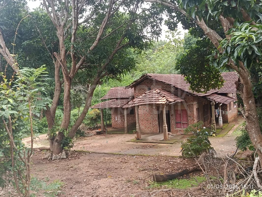 Residential Land for Sale in Divulankadawala ads-image-1