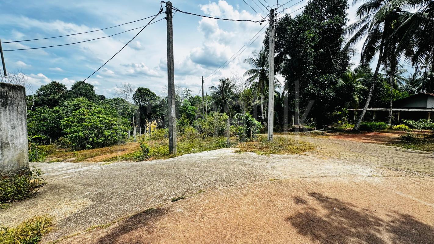 Residential Land for Sale in Weliveriya