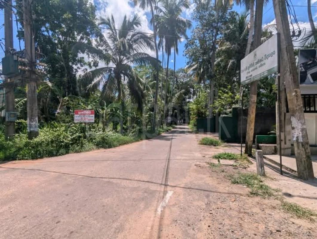 Commercial Land for Sale in Gampaha
