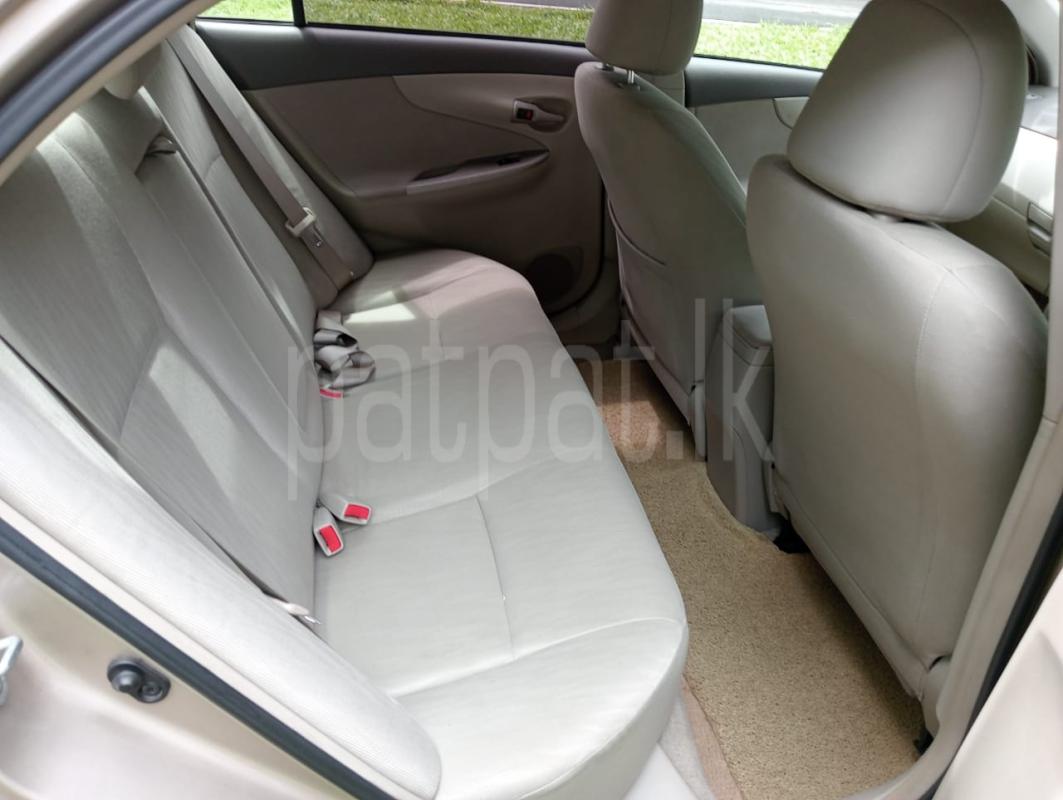 Advertisement image 5