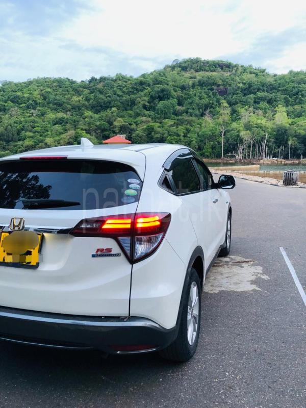 Advertisement image 6