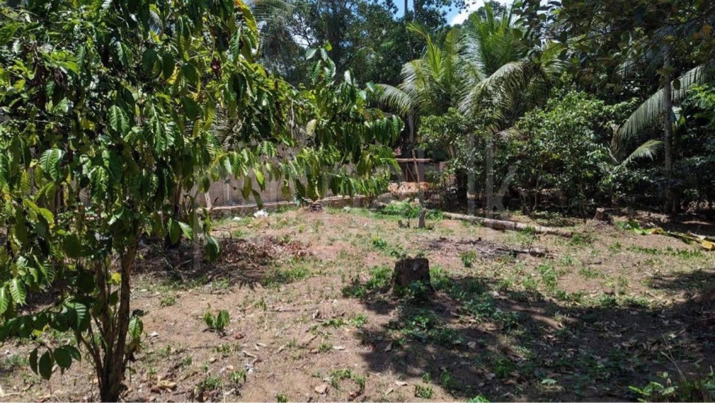 premium-listing-image