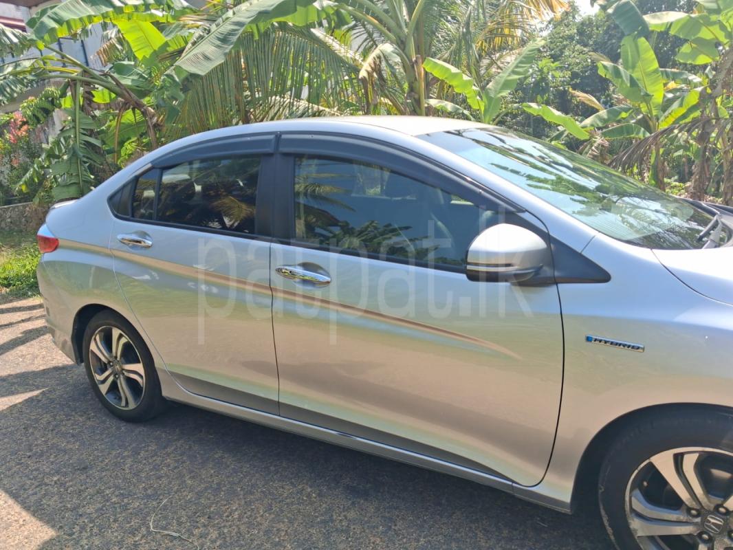 Advertisement image 2