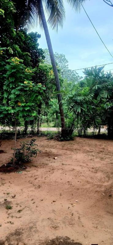 Residential Land for Sale in Kataragama