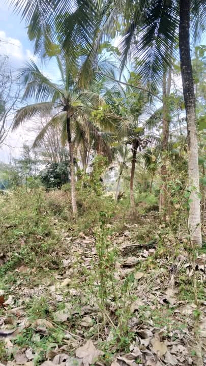 Commercial Land for Sale in Kurunegala