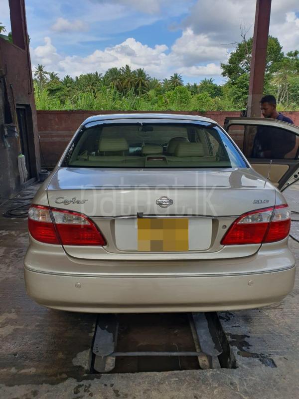 Advertisement image 3