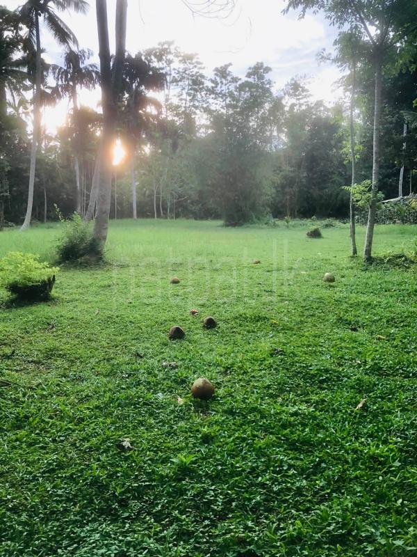Commercial Land for Sale in Habaraduwa