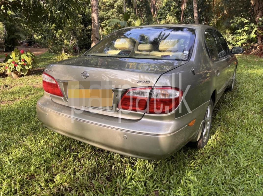 Advertisement image 4