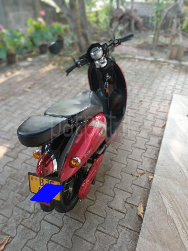 Advertisement image 2