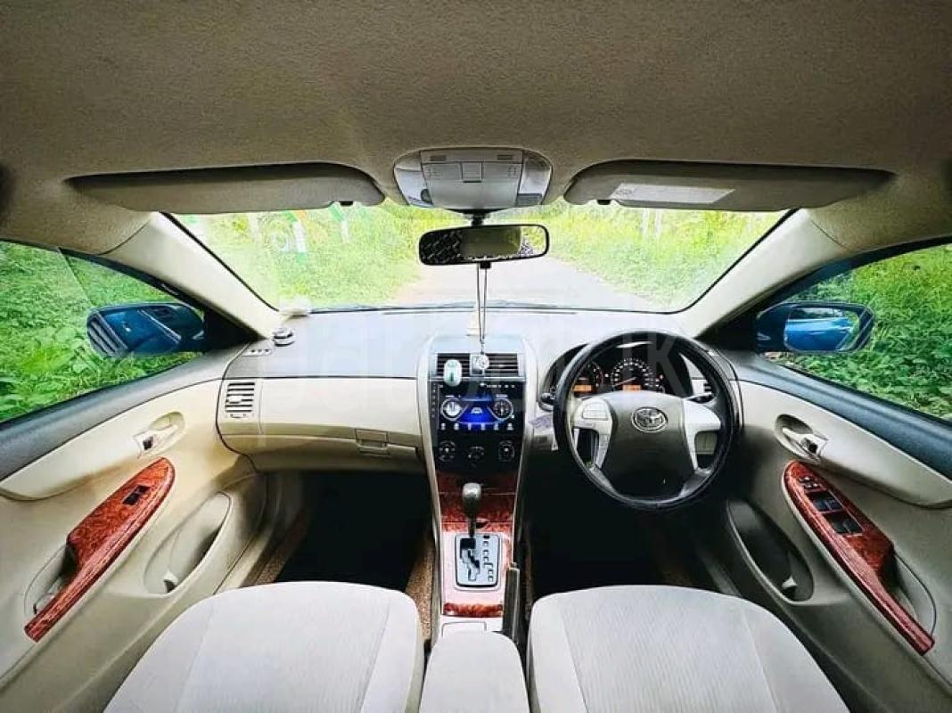 Advertisement image 5