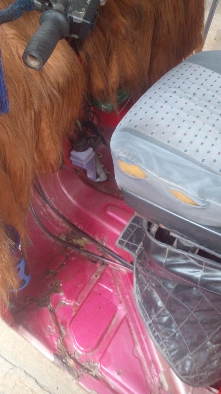 Bajaj Three Wheel 2012 - பயன்படுத்தப்பட்டது முச்சக்கர வண்டி sale in Sri Lanka - patpat.lk