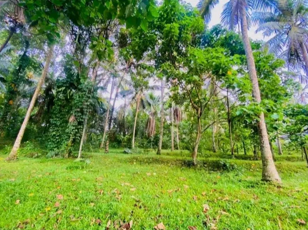 Agricultural Land for Sale in Gampola
