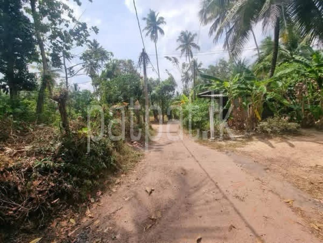 Residential Land for Sale in Minuwangoda ads-image-1