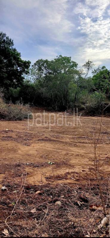 Residential Land for Sale in Kataragama