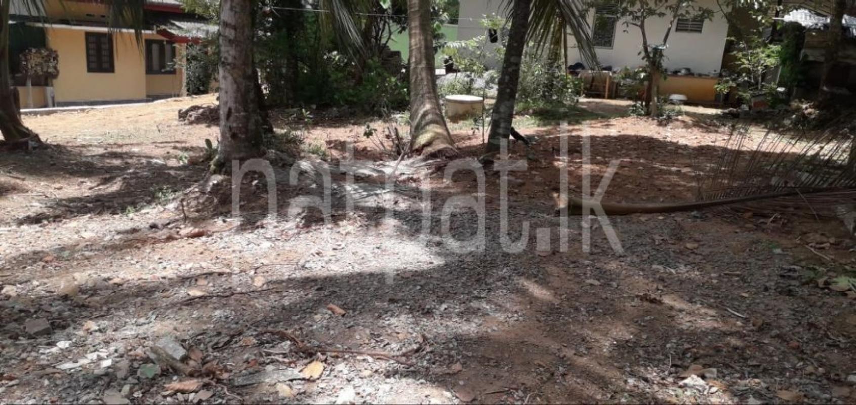 Commercial Land for Sale in Athurugiriya
