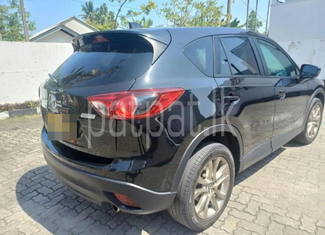 Advertisement image 4