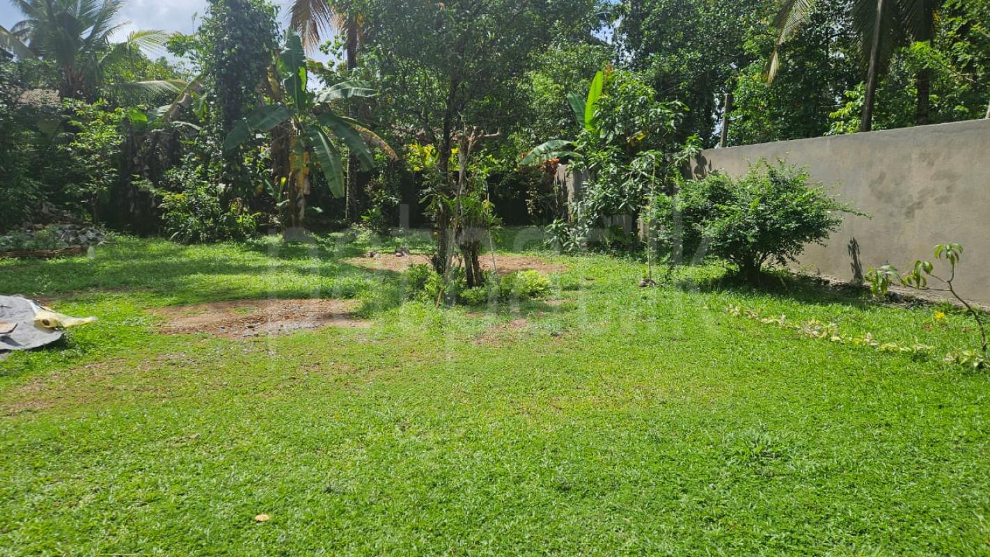 Residential Land for Sale in Homagama