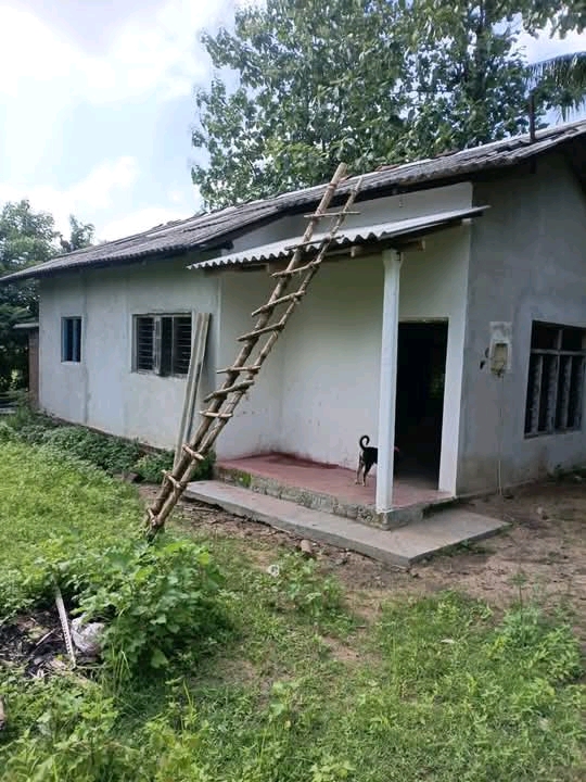 House for Sale in Narammala ads-image-1