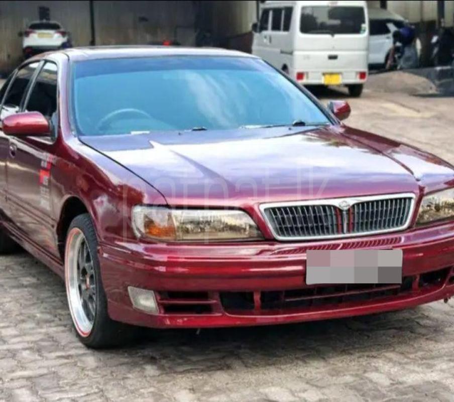 Advertisement image 2