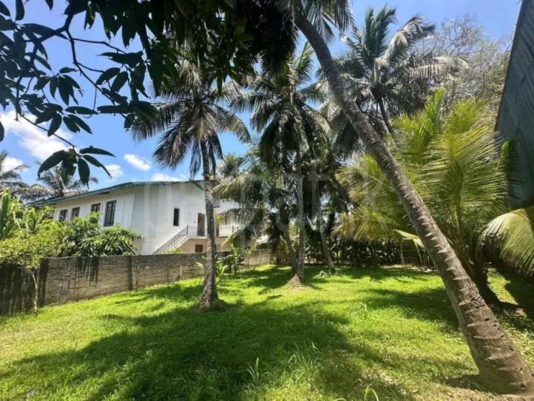 Commercial Land for Sale in Anuradhapura ads-image-1