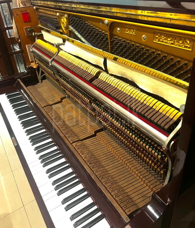 Advertisement image 5