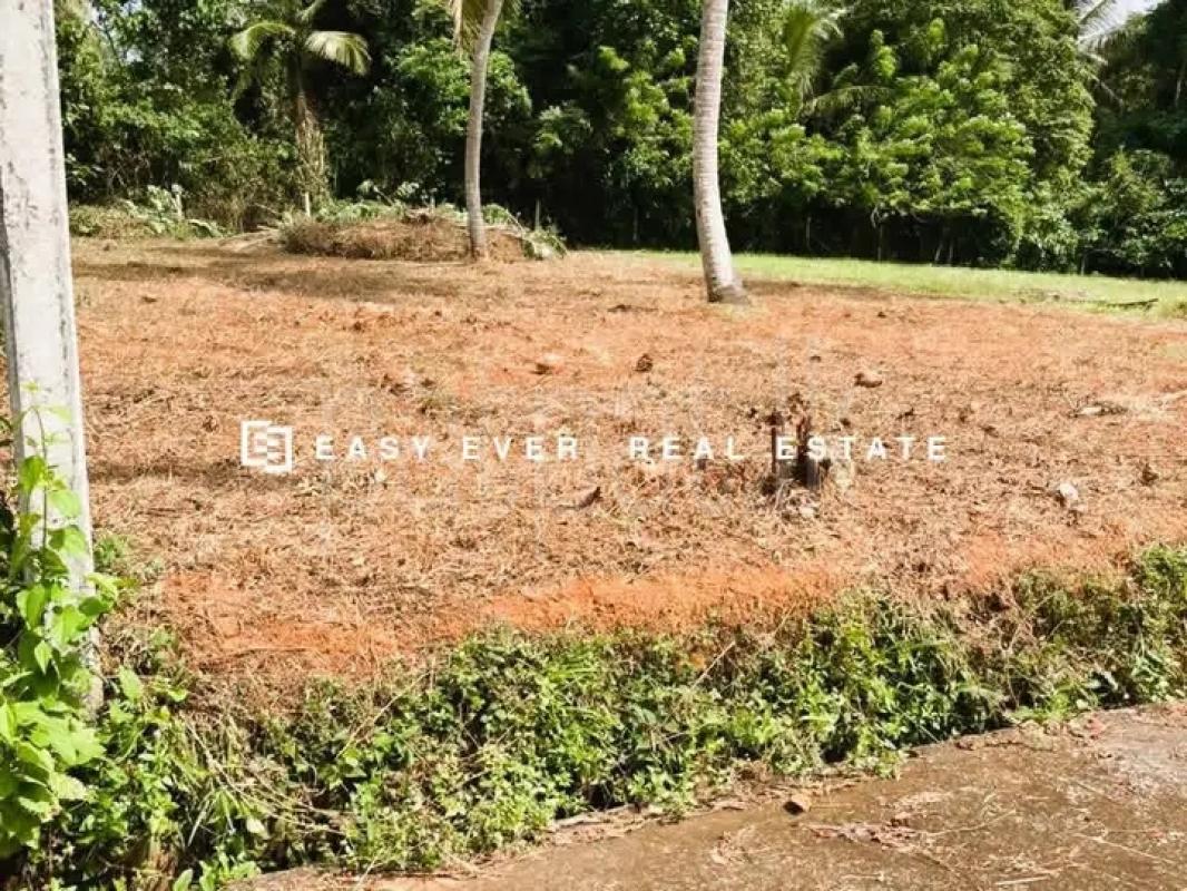 Commercial Land for Sale in Minuwangoda