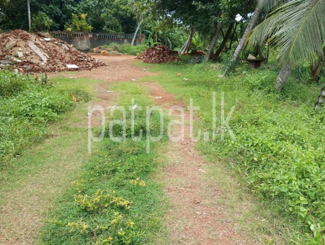 Advertisement image 1