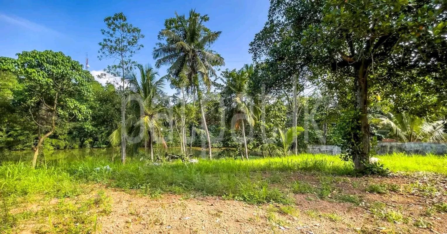 Residential Land for Sale in Yakkala