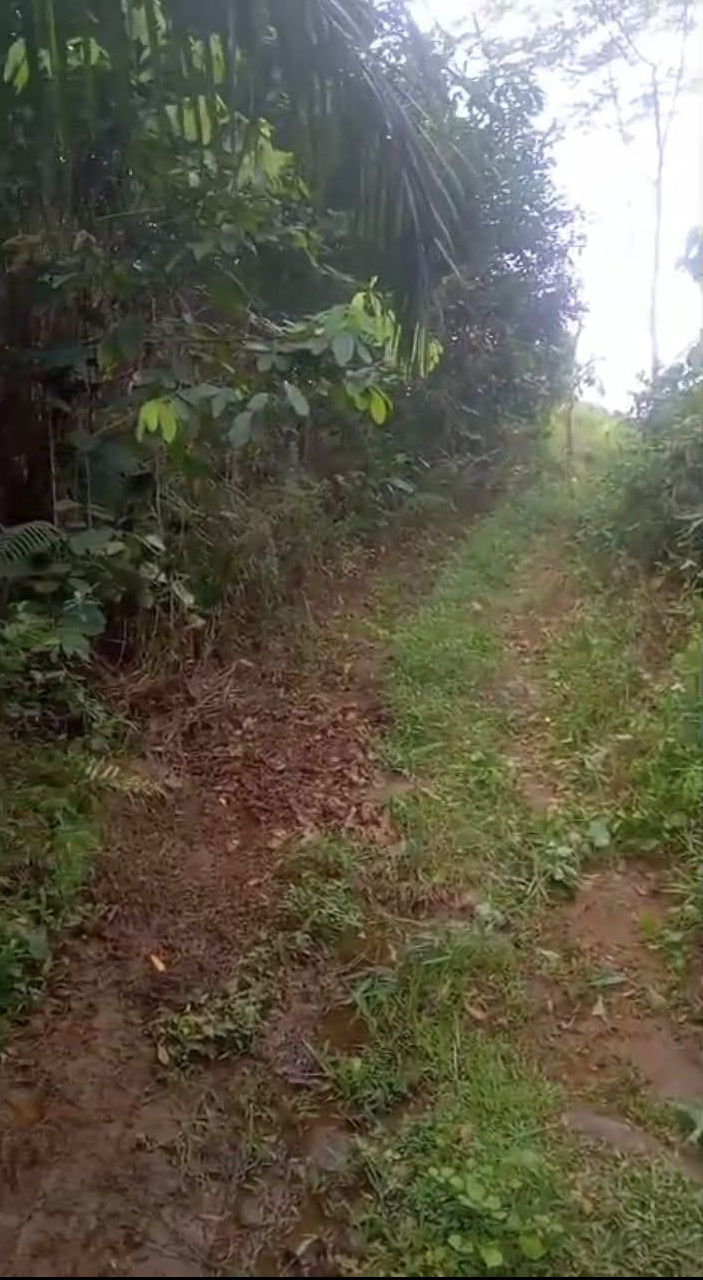 Commercial Land for Sale in Kosgama