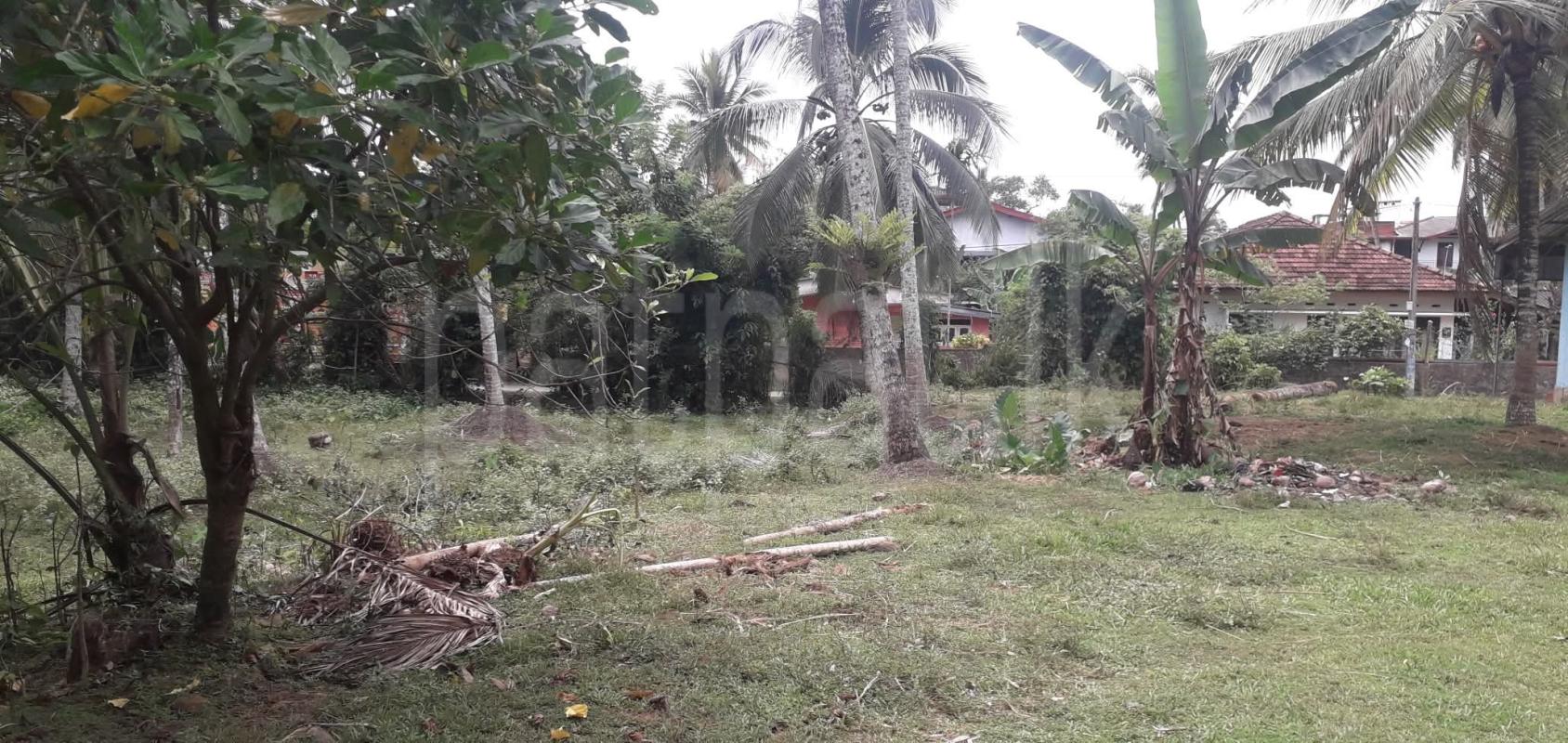 Commercial Land for Sale in Padukka