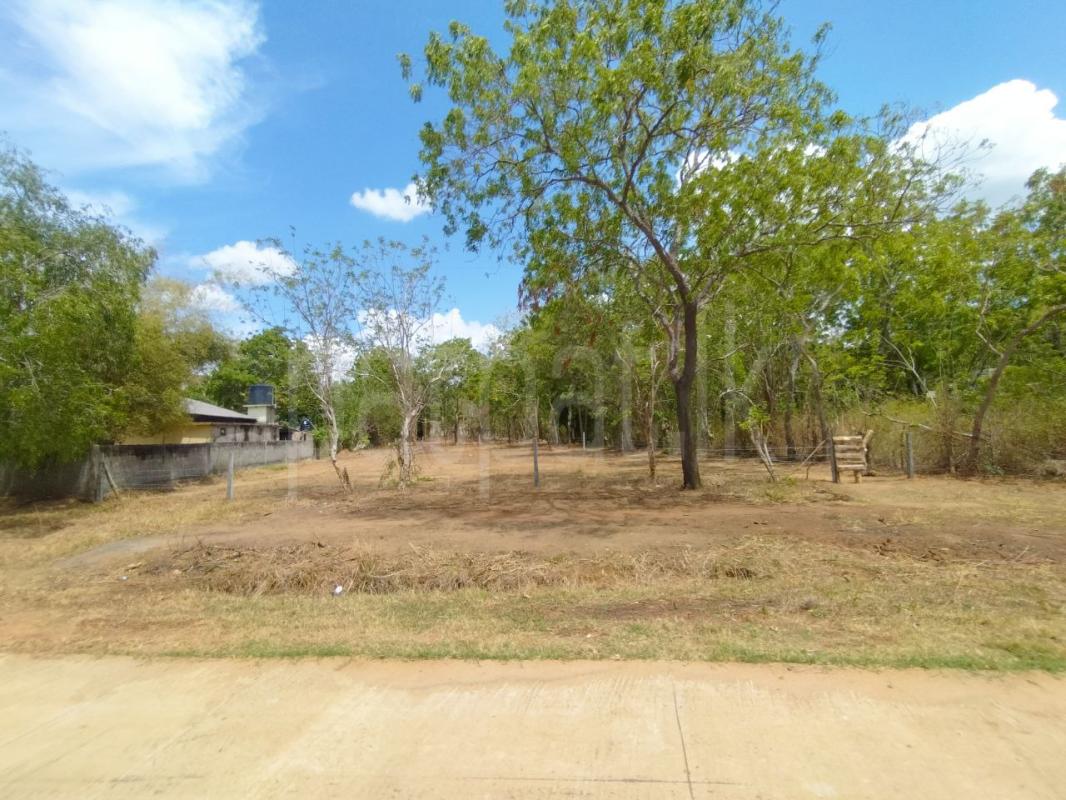 premium-listing-image