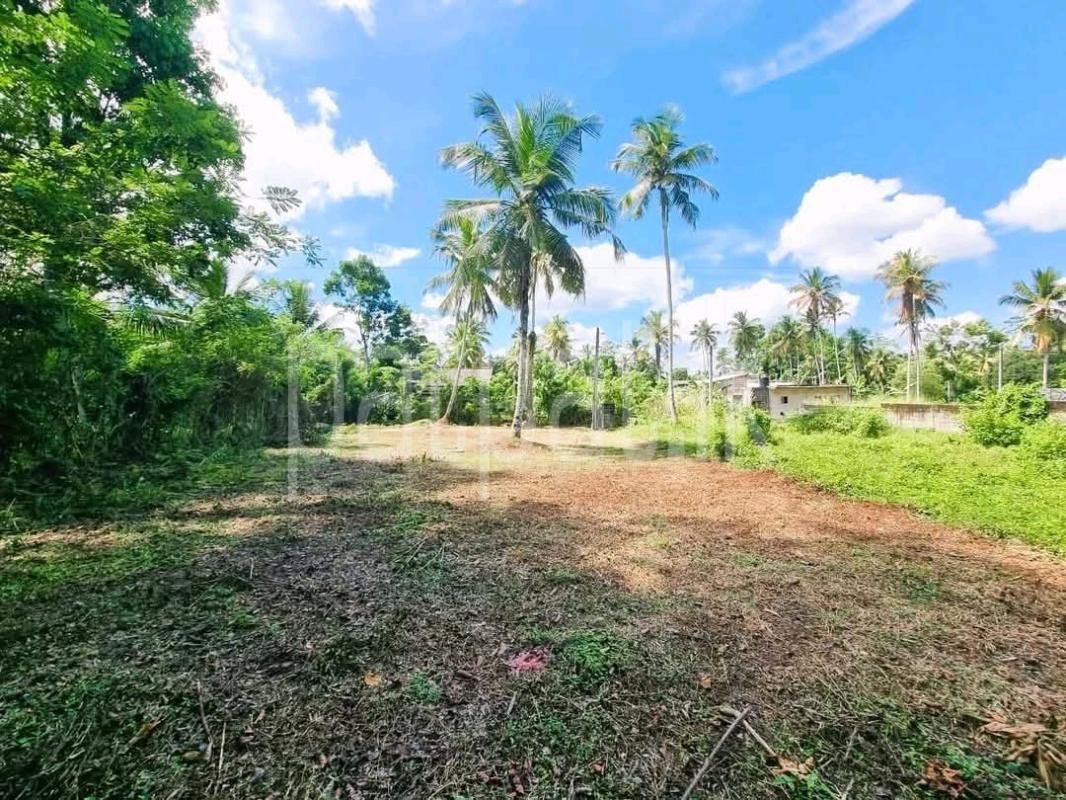 Residential Land for Sale in Pamunugama ads-image-1